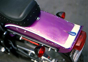 graphics and mermaid on Harley Davidson fender