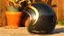 helmets gold leaf