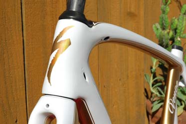 two tone custom paint bicycle ProArtPaint.com