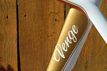 two tone custom paint bicycle gold white ProArtPaint